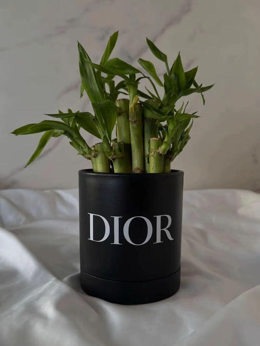 Luxury Statement Flower Pot
